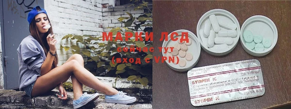 прущие грибы Пролетарск